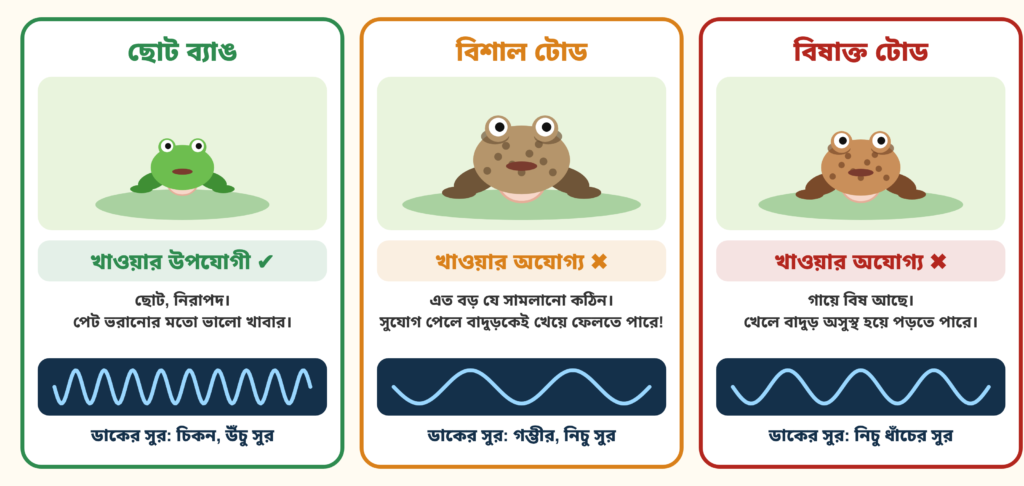 ছোট ব্যাঙ, বিশাল টোড আর বিষাক্ত টোড, প্রত্যেকের ডাকের তরঙ্গ আলাদা